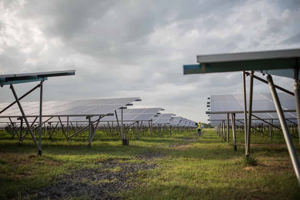 un champ solaire dans un champ d'herbes, un technicien en gilet vert marche au milieu