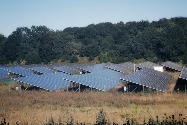 des panneaux solaires dans un champ, une forêt en arrirère plan, Bail emphytéotique