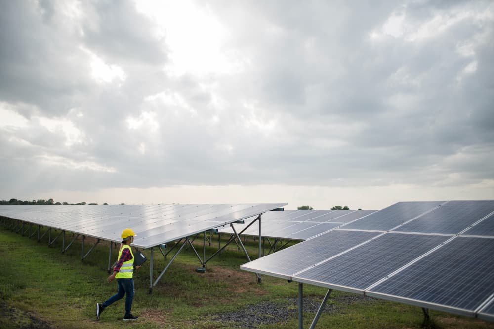 une femme avec un gilet vert qui marche dans une Installation agrivoltaïque