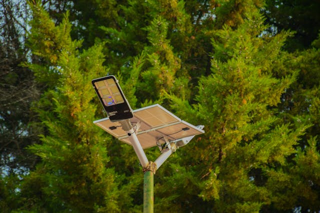 lampadaire solaire avec des arbres en arrière plan, éclairage public solaire commune